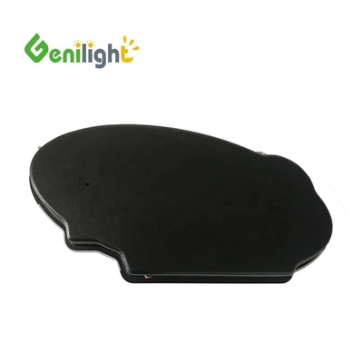 60*30 cm Dimensione dello schermo Segno elettronico al neon con LED di progettazione e funzione SDK